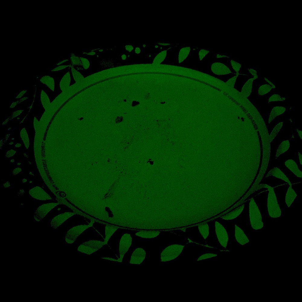A paper plate I ate a burrito on